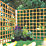 Forest  Softwood Square Trellis 6' x 6' 6 Pack