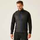 Regatta Navigate Padded Gilet/Bodywarmer Black/New Royal - B74 Small 38.6" Chest