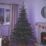 1000 LED Indoor & Outdoor Multi Colour String Christmas Lights 54.95m