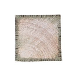 Forest Natural Timber Fence Posts 100mm x 100mm x 1800mm 4 Pack