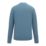Regatta Mindo Anti-Insect Long Sleeve T-Shirt China Blue Small 39.3" Chest