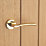 Designer Levers Augusta Door Handle Pair Polished / Brushed Brass