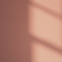 LickPro Max+ 5Ltr Red 03 Matt Emulsion  Paint