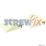 Vaillant 193583 Support 2 Pack