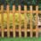 Forest Pale Picket  Fence Panels Golden Brown 6' x 3' Pack of 20