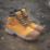 DeWalt Defiance    Safety Boots Honey Size 10