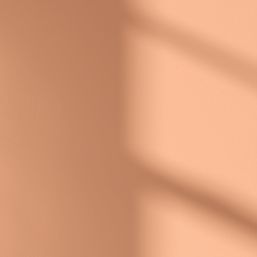 LickPro Max+ 5Ltr Orange 05 Eggshell Emulsion  Paint