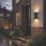 Eglo Pedersano Outdoor LED Triangular Wall Light Black 8W 950lm