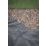 Apollo Heavy Duty Weed Control Fabric 14m x 1m