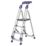 Werner Aluminium 1.45m 4 Step Platform Step Ladder With Handrail