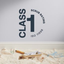 LickPro Max+ 1Ltr Grey 14 Matt Emulsion  Paint