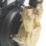 Stuart Turner Monsoon Standard Regenerative Twin Shower Pump 2.0bar