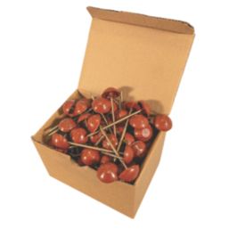 Corrugated Bitumen Fixing Nails  Red 80mm x 20mm 100 Pack