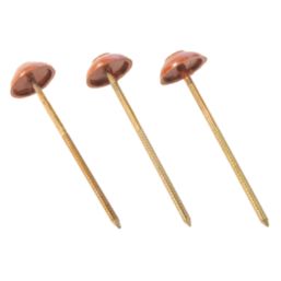 Corrugated Bitumen Fixing Nails  Red 80mm x 20mm 100 Pack