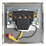 Contactum iConic 32A 1-Gang DP Control Switch Brushed Steel with Neon with White Inserts