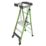 Little Giant Fibreglass 1.73m 3 Step Platform Step Ladder