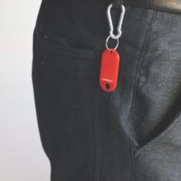 Essentials Karabiners Silver 40mm x 4mm 2 Pack