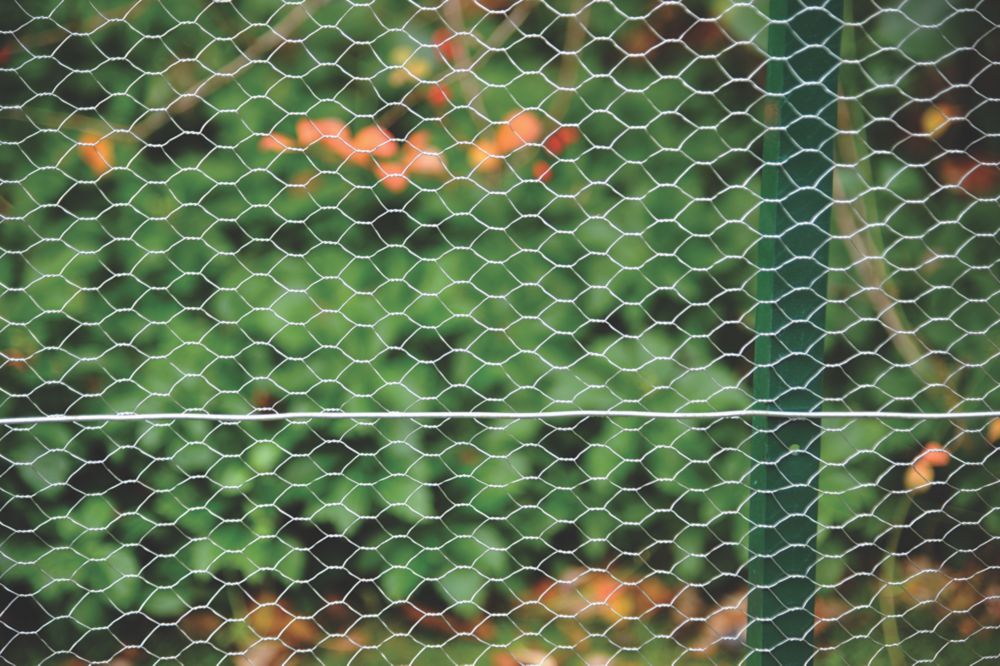 Screwfix on sale wire mesh