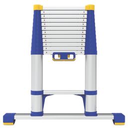 Werner  3.8m Telescopic Ladder