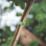 Velcro Brand One-Wrap Green Garden Ties 5m x 12mm