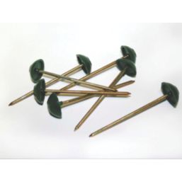 Corrugated Bitumen Fixing Nails  Green 80mm x 20mm 100 Pack