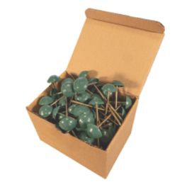 Corrugated Bitumen Fixing Nails  Green 80mm x 20mm 100 Pack