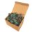 Corrugated Bitumen Fixing Nails  Green 80mm x 20mm 100 Pack