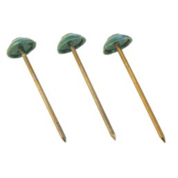 Corrugated Bitumen Fixing Nails  Green 80mm x 20mm 100 Pack