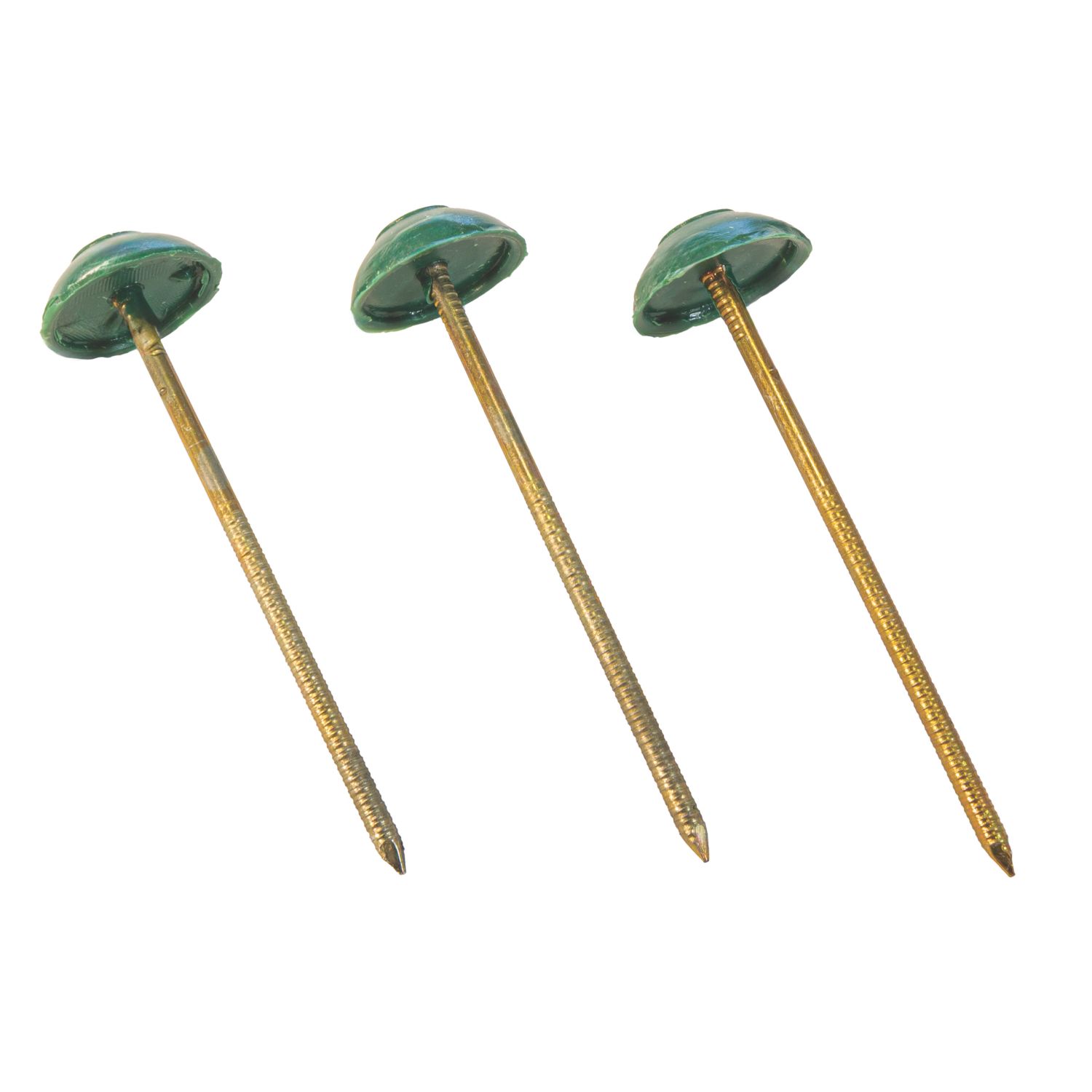 Corrugated Bitumen Fixing Nails Green 80mm x 20mm 100 Pack (958CY)