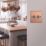 Varilight V-Pro 2-Gang 2-Way LED Dimmer Switch  Brushed Copper with Colour-Matched Inserts
