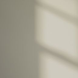 LickPro  5Ltr Beige 04 Vinyl Matt Emulsion  Paint