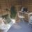 Forest Oakley 8' x 6' (Nominal) Pent Timber Summerhouse
