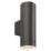Saxby Palin XL Outdoor Wall Light Black