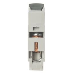 Lewden E10 16A SP B Curve  MCB