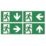 Brackenheath  LED Exit Sign Flush-Mounted 150mm x 336mm