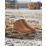 Site Meteorite Sundance Size 10  Brown Waterproof Steel Toe Cap Safety Boots