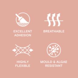 LickPro 5Ltr Smooth Pink 13 Masonry Paint