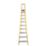 Lyte Fibreglass 3.25m 10 Step Platform Step Ladder