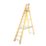 Lyte Fibreglass 3.25m 10 Step Platform Step Ladder