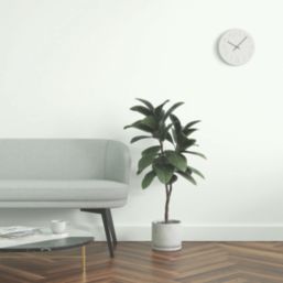 LickPro Max+ 5Ltr Green 12 Matt Emulsion  Paint