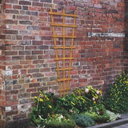 Forest  Softwood Fan Trellis 2' x 6' 10 Pack
