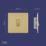LAP  20A 1-Gang 2-Way Light Switch  Satin Brass with Black Inserts