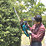 Makita UH5580 55cm 700W 240V Corded  Electric Hedge Trimmer