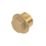 Flomasta Male Flanged Plug 1/2" x