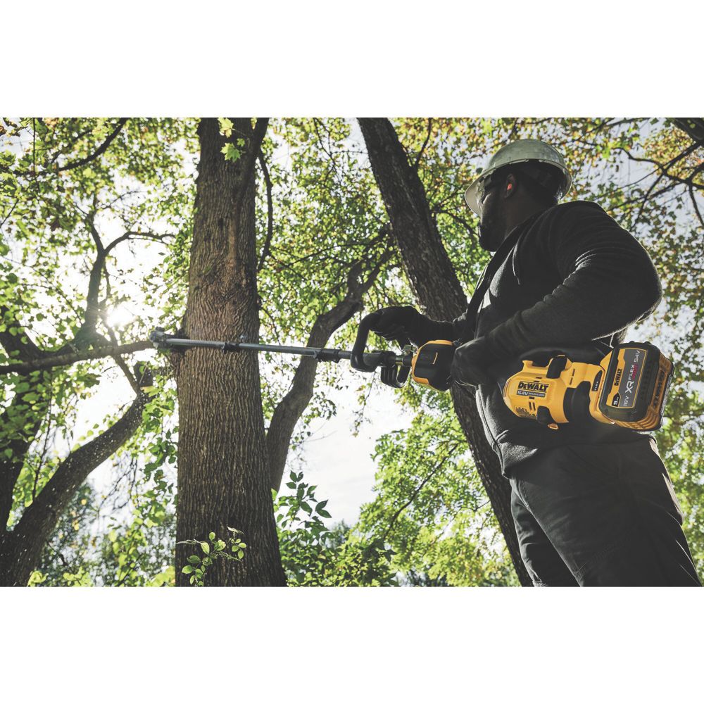 Dewalt deals tree pruner