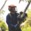 JSP EVOGuard M3 Forestry Face Shield Black