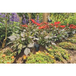 Gardena  Smart Sensor Garden Control Set