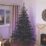 750 LED Indoor & Outdoor Multi Colour Compact String Christmas Lights