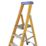 Werner Fibreglass 2.94m 10 Step Platform Step Ladder