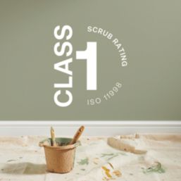 LickPro Max+ 1Ltr Green BS 12 B 21 Matt Emulsion  Paint